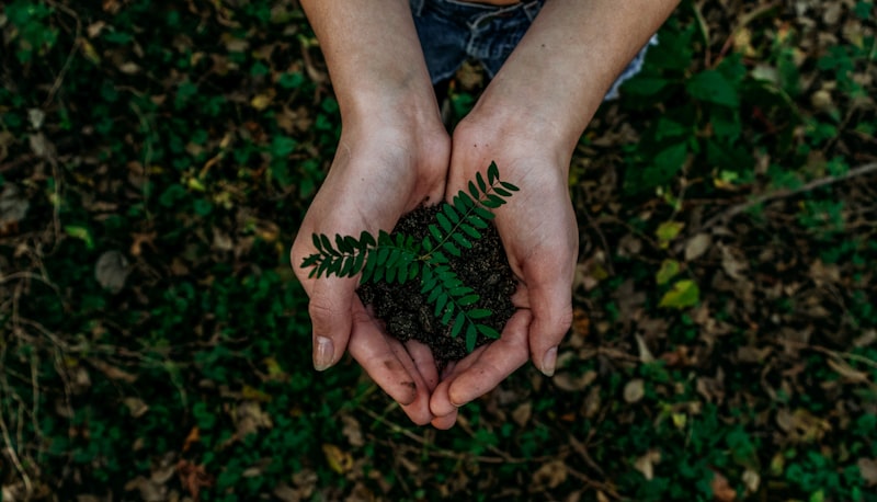 Designing with the Planet in Mind: Sustainable Practices for Creative Studios